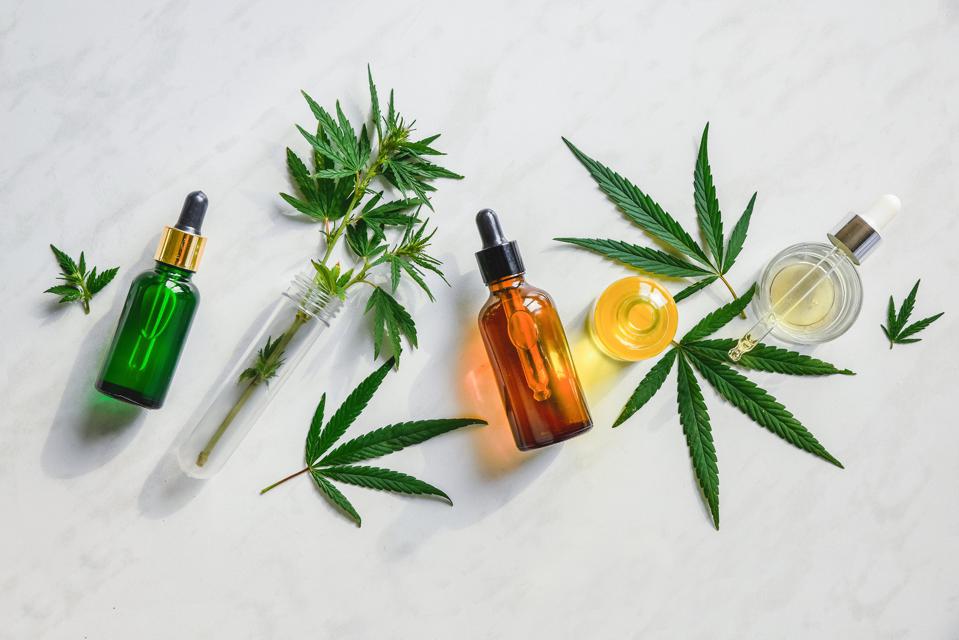 Pure & Potent: A Guide On Choosing The Right CBD Products
