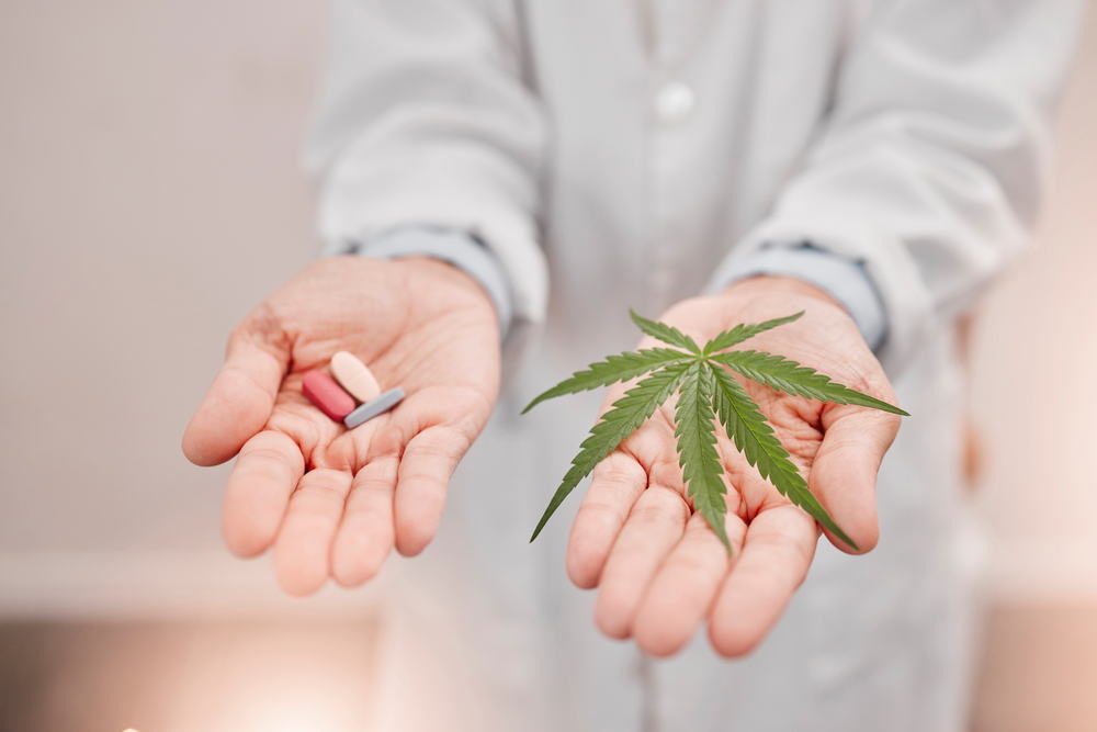 Why People Choose Pot Over Prescription Meds Matters