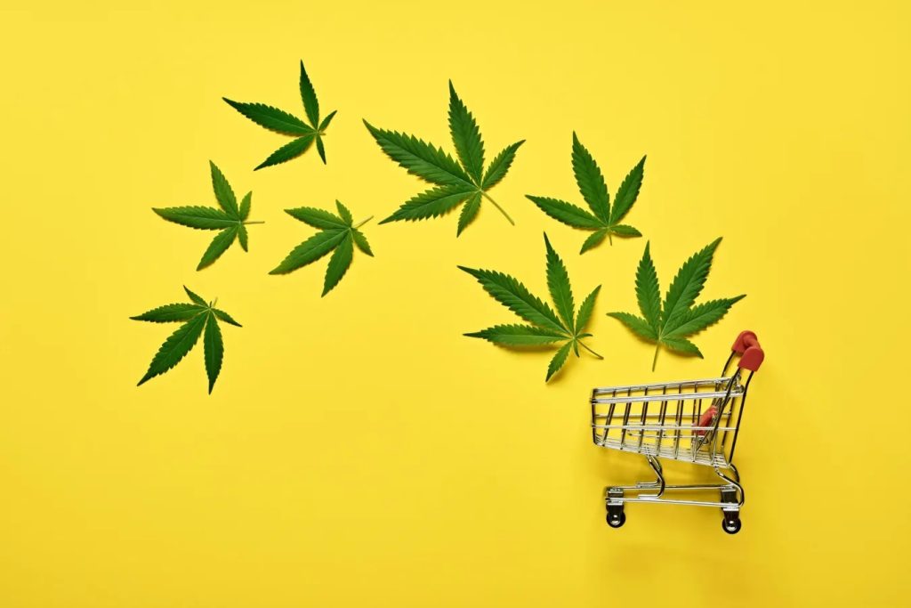Elevate Your Experience: The Ultimate Guide to Cannabis Shopping